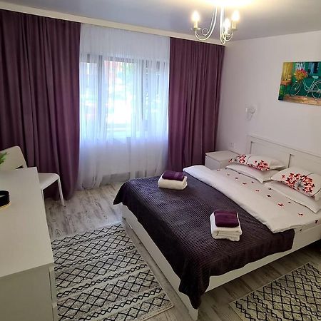 شقة سوتْشافا  في La Fluturi Apartament المظهر الخارجي الصورة